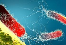 چرا آنفلوآنزا گاهی کشنده می‌شود؟