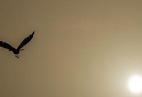 افزایش آلودگی هوای تهران تا اواخر هفته