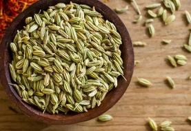 گیاهی که شدت خونریزی قاعدگی را زیاد می کند!