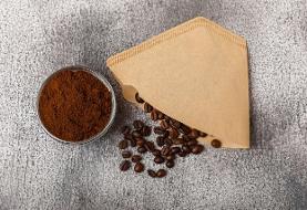 فیلتر قهوه، قهرمان پنهان گیاهان آپارتمانی!