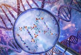 راز عمر ۱۰۰ ساله انسان‌های قدیم فاش شد /  عمر طولانی، یک ارث باستانی است؟