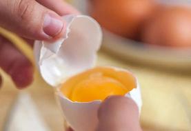 ۵ غذای برتر حاوی ویتامین D