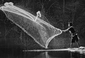 گزیده‌ای از برترین‌ عکس های سیاه و سفید در مسابقه جهانی فتوکراود