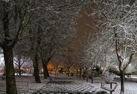 سرمای کم‌سابقه در ۲۴ استان کشور/ بارش برف و باران در ۲۷ استان