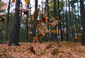 انداختن آب دهان ممنوع! | جریمه عجیب برای پیرمرد ۸۶ساله