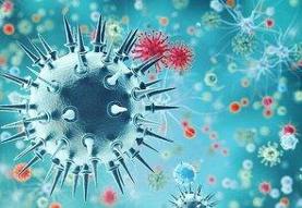 آنفلوآنزا در این ۸ استان بالاتر از حد هشدار/ آمار فوتی‌ها از ابتدای موج امسال تاکنون