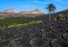 سرزمین شگفت انگیز سیاه و سپید؛ شرقی ترین جزیره از مجمع الجزایر قناری اسپانیا (+تصاویر)