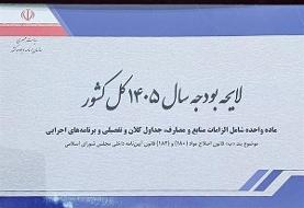 چرا بودجه ۱۴۰۵ رد شد؟