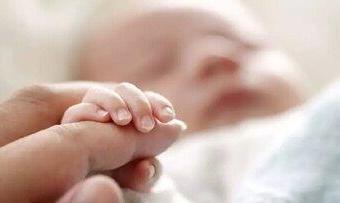 واریز ماهانه ۲ میلیون تومان به حساب این افراد/ زمان آغاز طرح اعلام شد