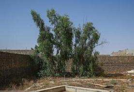 هشدار جدی درباره بحران آب و فرونشست