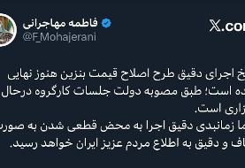 بنزین از چه تاریخی سه نرخی می شود؟/ سخنگوی دولت توضیح داد