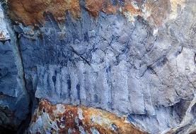 عکس؛ هزارپای غول‌پیکر که هم‌اندازۀ یک «خودرو» بود! ؛ فسیل ۳۲۶ میلیون ساله‌ را ببینید