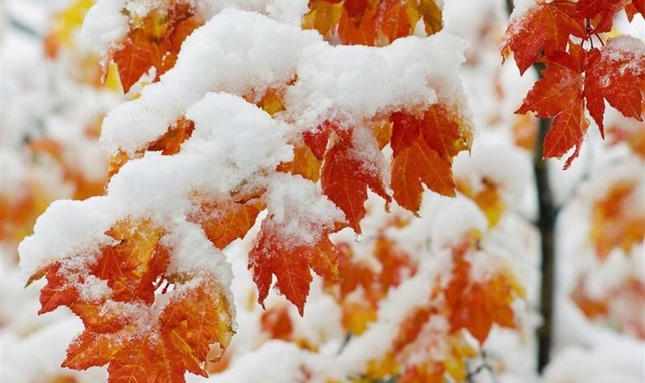 هواشناسی ۱۴۰۴/۹/۱۶؛ برف و باران در ۲۳ استان/هشدار نارنجی برای ۱۷ استان