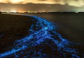 چگونه برای واتساپ رمز بگذاریم یا چت‌های خاص را قفل کنیم؟