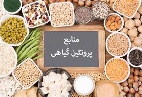 بهترین منابع پروتئینی برای گیاهخواران (فیلم)