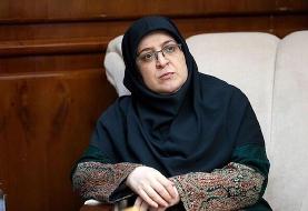 مهاجرانی: دولت مدافع آموزش زبان‌های محلی در کنار زبان رسمی است