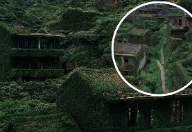 هوتووان شهر ارواح سبزپوش چین؛ تسخیر زیبایی طبیعت بر ویرانه‌ها (فیلم و عکس)