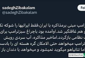 زیباکلام: ترامپ می‌خواهد گره هسته‌ای را با دست باز کند؛ اما نتانیاهو می‌گوید نمی‌شود