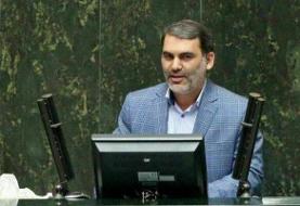 عملکرد دولت درباره قیمت آرد و گندم، مشکلات نانوایان را افزایش داده است
