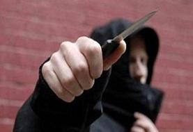 شرور مسلح به ضرب گلوله پلیس متوقف شد