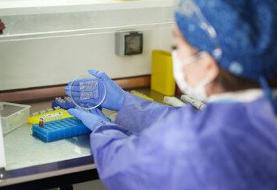 درمانگر ایرانی برنده مدال اختراعات جهانی شد