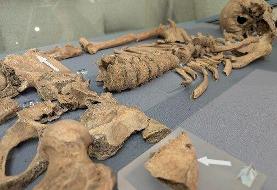 رمزگشایی از یک اسکلت ۱۸۰۰ساله | اسرار تلخ برد با شیر در گورستان گلادیاتورها