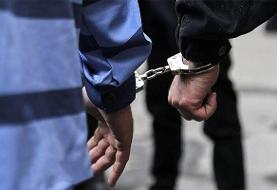 شرور تحت تعقیب در شهرری با شلیک پلیس زمین‌گیر شد (فیلم)