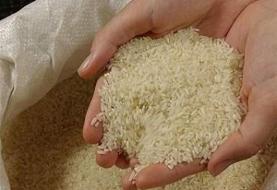 وعده کاهش قیمت نجونی برنج تا دو هفته آینده