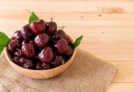 گیلاس؛ آنتی‌اکسیدانی قوی در سبد میوه تابستانی