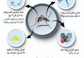 هشدار وزارت بهداشت درباره پشه آئدس
