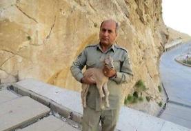 سردار رستگار: پیگیری پرونده شهید هدایت‌الله دیده‌بان با قوت ادامه دارد