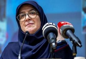 سخنگوی دولت: همچنان واردات بنزین داریم / اجازه بدهید اسم کشوری را نگویم