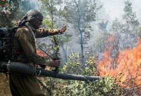 ۲ تا پنج سال حبس در انتظار عاملان آتش‌سوزی عمدی عرصه‌های ملی