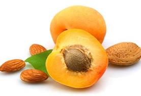 خواص شگفت انگیز هسته زردآلو