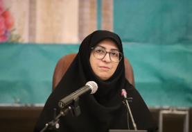 معاون رییس جمهور: بخش زیادی از قوانین زیست محیطی اجرا نشده است