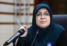 واکنش سخنگوی دولت به توافق آذربایجان و ارمنستان