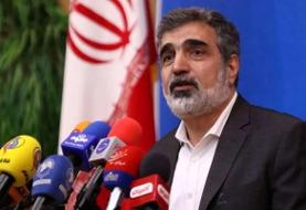 سخنگوی سازمان انرژی اتمی: بازرسان آژانس بر تعویض سوخت نیروگاه اتمی بوشهر نظارت می‌کنند