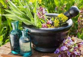 چند باور غلط در مورد مصرف داروهای گیاهی