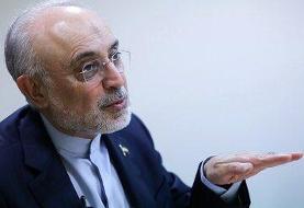 علی اکبر صالحی: ایده ظریف برای کنسرسیوم هسته ای، حرف جدیدی نیست؛ این ایده از قبل انقلاب مطرح است