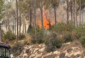 آتش‌سوزی در پناهگاه حیات وحش بیستون