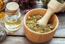 ۹ گیاه دارویی در طب سنتی که برای سلامتی کاربردهای شگفت‌انگیز دارند