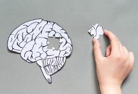 پیشگیری از زوال عقل با این کار ساده