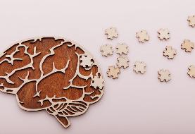 برای پیشگیری از بیماری آلزایمر چه باید کرد ؟ ؛ ۳ رکن طلایی برای پیشگیری از آلزایمر