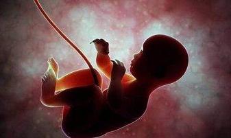 غربالگری در دوران بارداری ممنوع شد؟