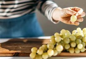بهترین زمان خوردن میوه | روزانه چند عدد میوه بخوریم؟
