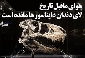 کشف هوای ماقبل تاریخ لای دندان دایناسورها مانده است (فیلم)