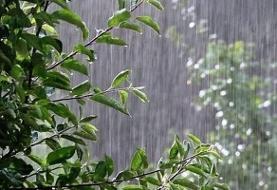 هواشناسی ۱۴۰۴/۰۷/۰۸/ بارش باران در ۵ استان/ فردا، بارندگی شدید در گیلان و مازندران