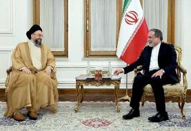 تأکید حکیم و عراقچی بر استمرار همکاری‌های امنیتی ایران و عراق