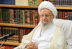 پیام آیت‌الله مکارم شیرازی خطاب به مهمانان کنفرانس وحدت: غزه امتحان دشواری برای جهان اسلام و ...