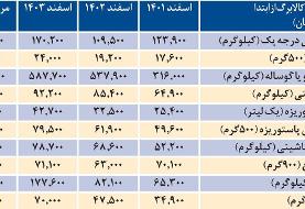 از طرح فجرانه تا امروز ؛ چرا استقبال مردم از کالابرگ الکترونیک کم شد؟